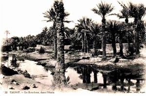 Taghit - Oasis - Zousfana